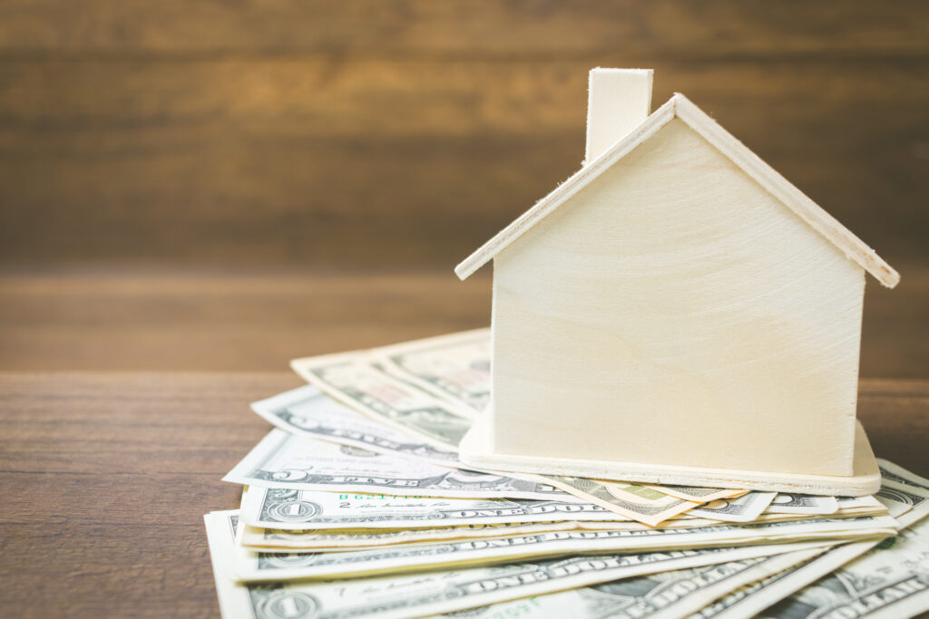 Money and house model